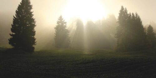 Scriptures about Blessings
