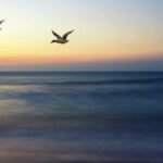 Scriptures about Grace