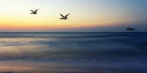 Scriptures about Grace