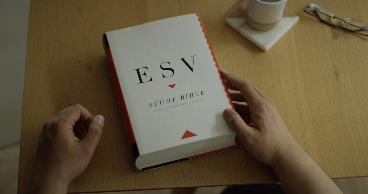Best Study Bible For Beginners to Pastors scriptures.blog