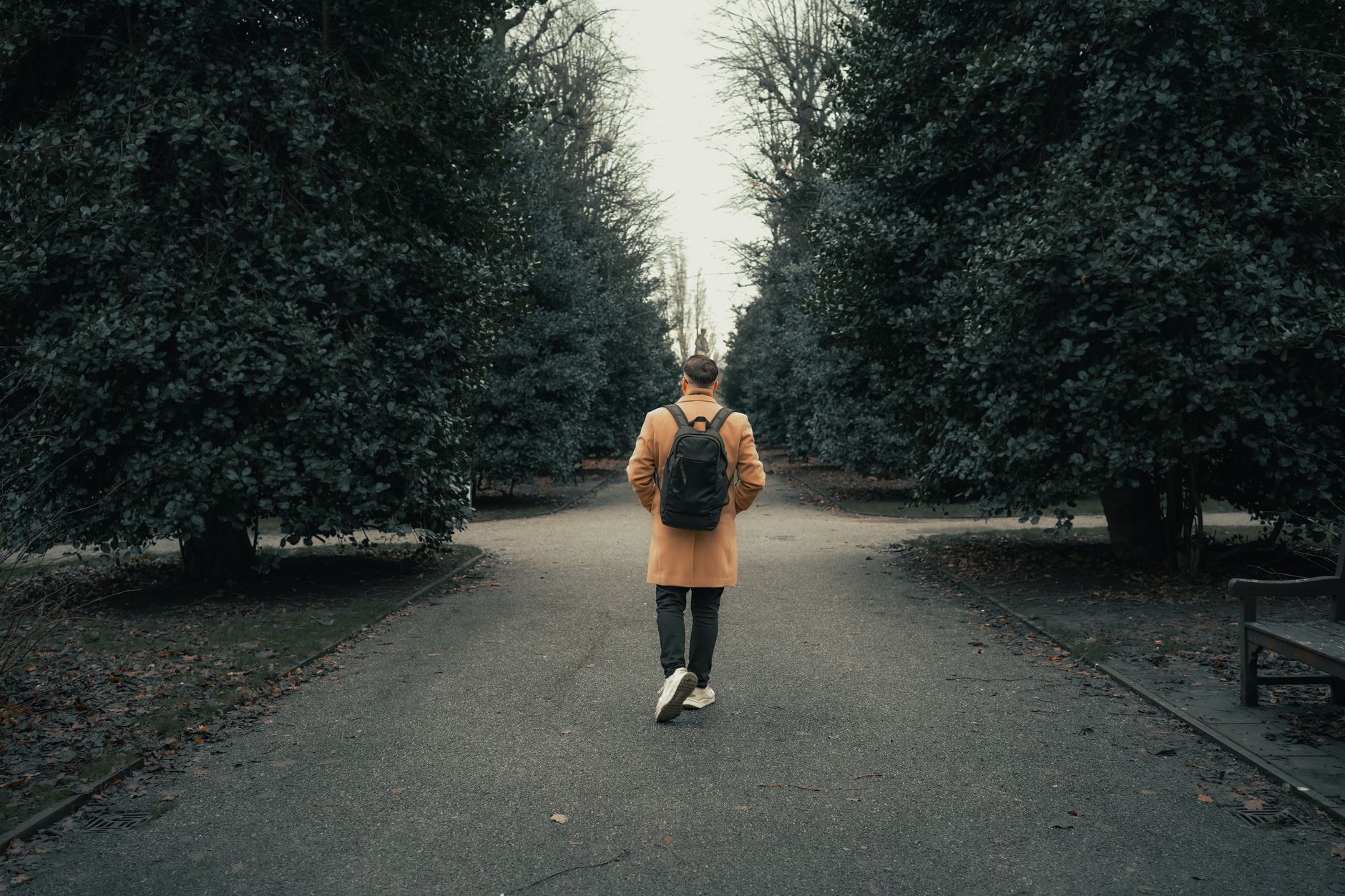 A man walking away down a tree-lined road